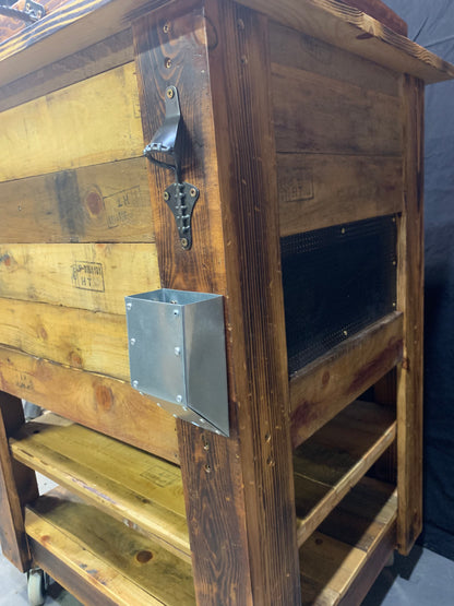 Custom Mini-fridge Cooler